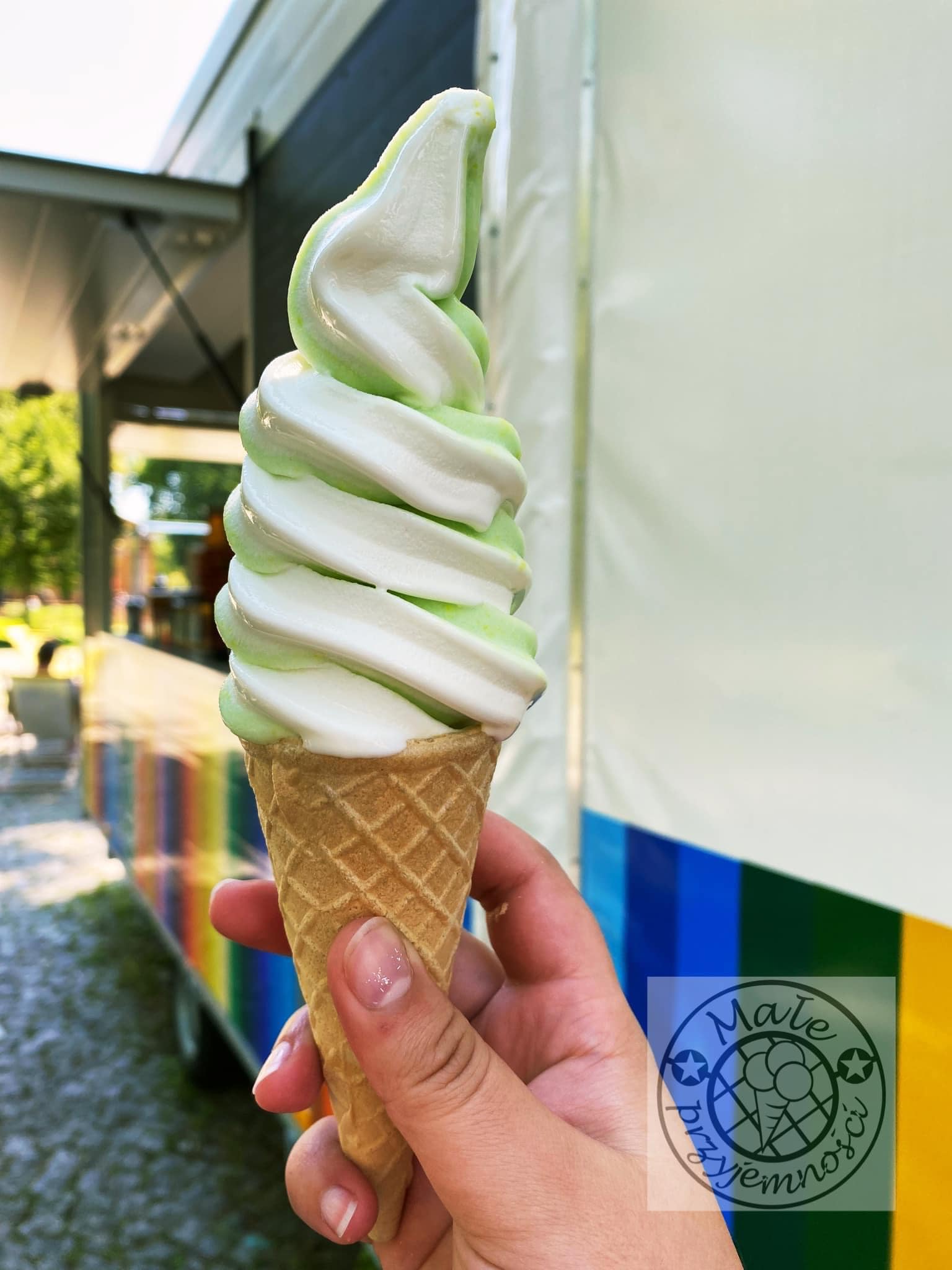 347098727_626949686125617_1765499331089860888_n